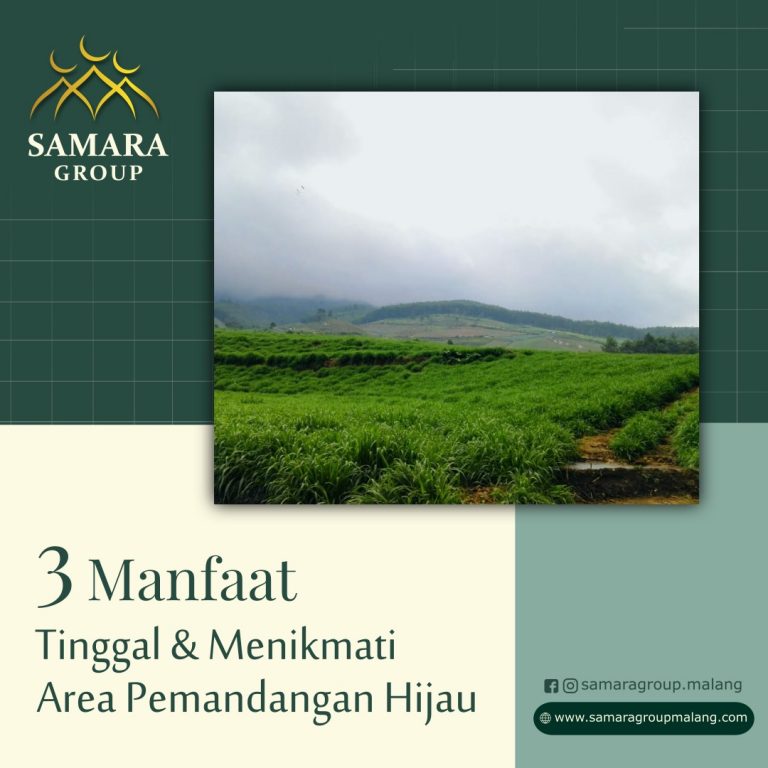 3 Manfaat Tinggal dan Menikmati Area Pemandangan Hijau