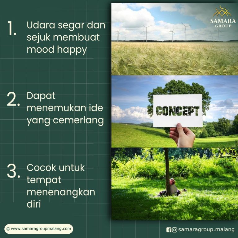 3 Manfaat Tinggal dan Menikmati Area Pemandangan Hijau
