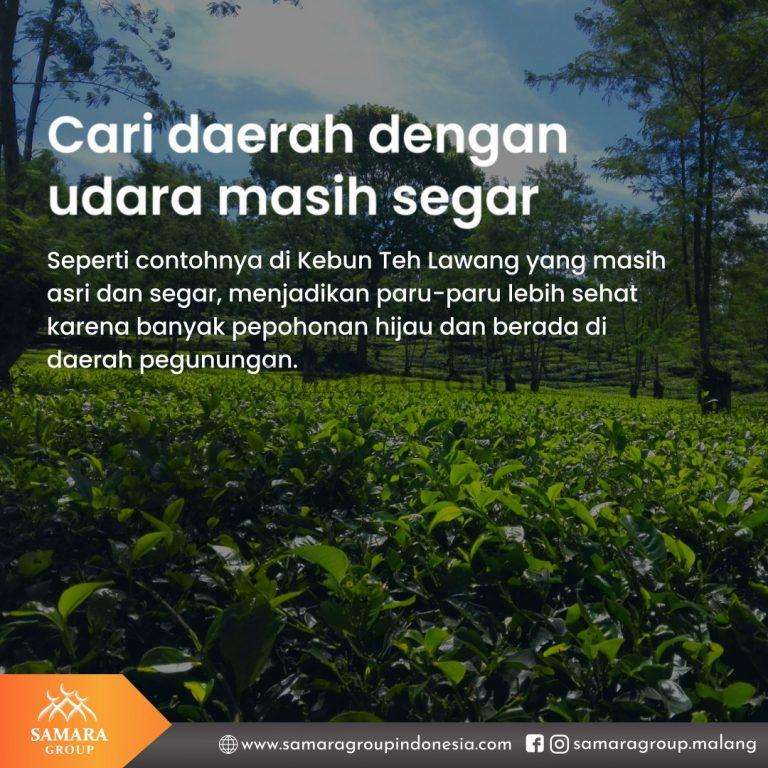 samara-post-wujudkan-hunian-bahagia-di-masa-tua3